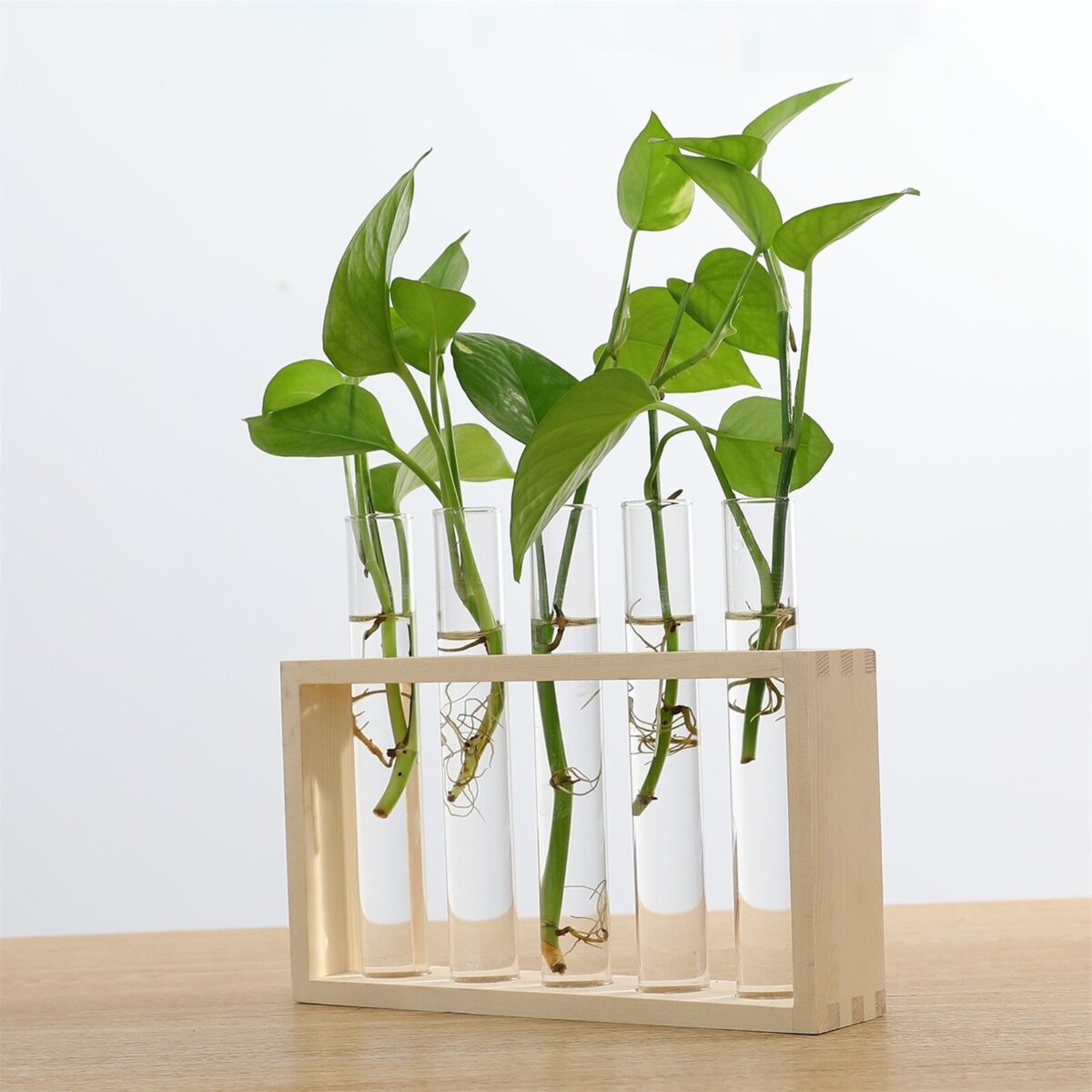 Desktop hydroponic plant vase